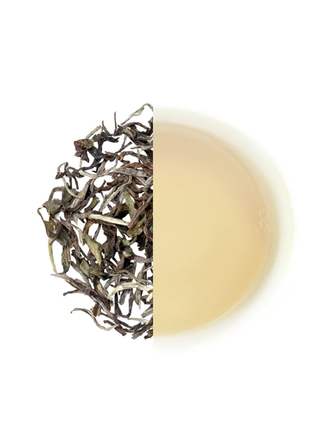 Darjeeling White Peony Loose Leaf - 50gms - House of Roya