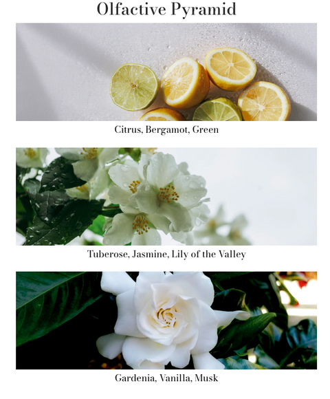 Premium Car Fragrance - Tuberose & Jasmine