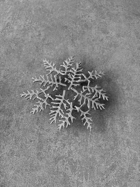 Fir Leaf Trivet - House of Roya
