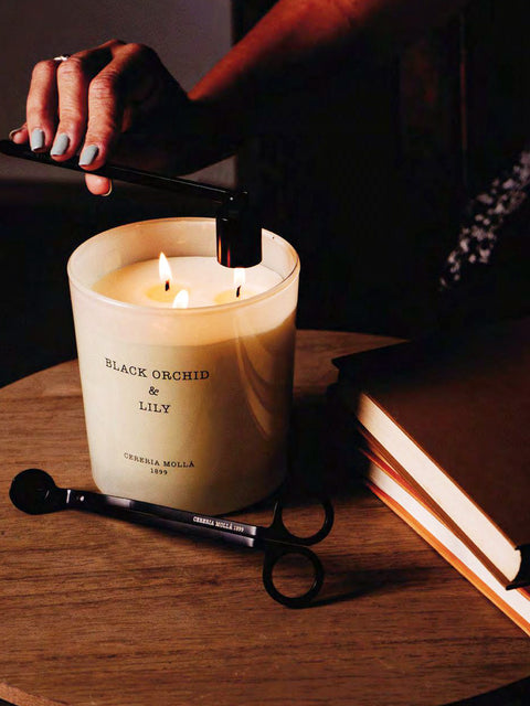 Cereria Molla Wick Trimmer & Candle Snuffer - House of Roya