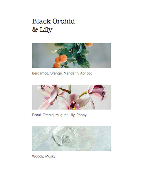 Premium Body & Hand Lotion - Black Orchid & Lily - House of Roya