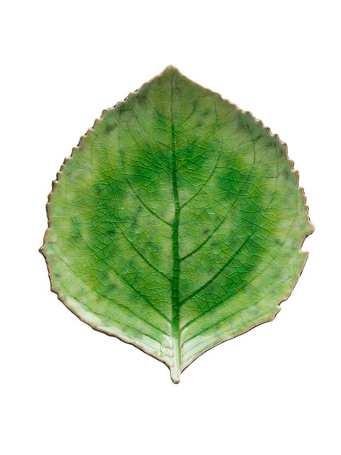 Riviera Tomate Hydrangea Leaf 22cm - House of Roya