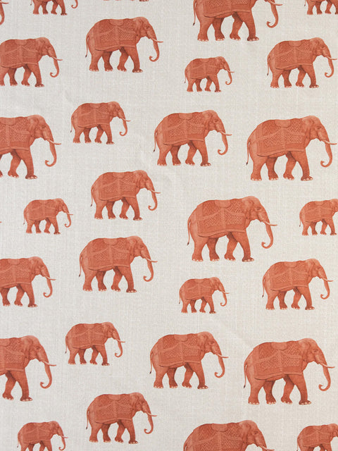 Tusker Fabric (Eggshell) - House of Roya