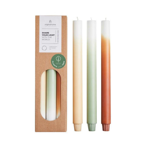 Gradient Candles Set of 3 - Pine Tree