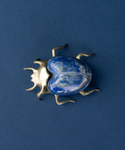 Brass Eupatorus Lapis Beetle - House of Roya