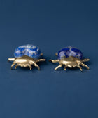 Brass Eupatorus Lapis Beetle - House of Roya