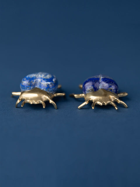 Brass Eupatorus Lapis Beetle - House of Roya