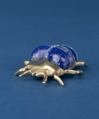 Brass Eupatorus Lapis Beetle - House of Roya