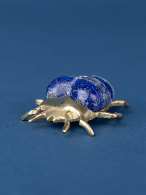 Brass Eupatorus Lapis Beetle - House of Roya