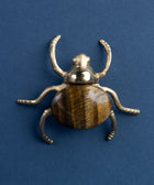 Brass Tiger Eye Bug - House of Roya