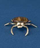 Brass Tiger Eye Bug - House of Roya