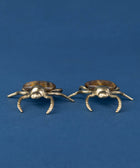 Brass Tiger Eye Bug - House of Roya