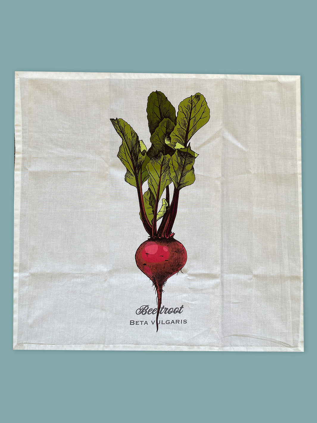 0215-Vegetable Medley Cotton Napkins