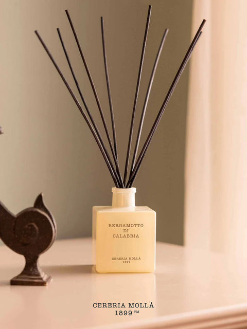 All year round scents