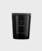 Premium Candle Fig & Citrus - House of Roya