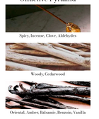 Premium Car Fragrance Moroccan Cedar - House of Roya