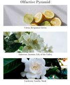 Premium Car Fragrance - Tuberose & Jasmine - House of Roya