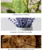 Premium Candle 230gr Provence Lavender - House of Roya