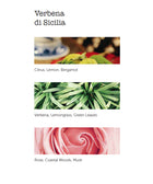 Premium Body & Hand Lotion - Verbena di Sicilia - House of Roya
