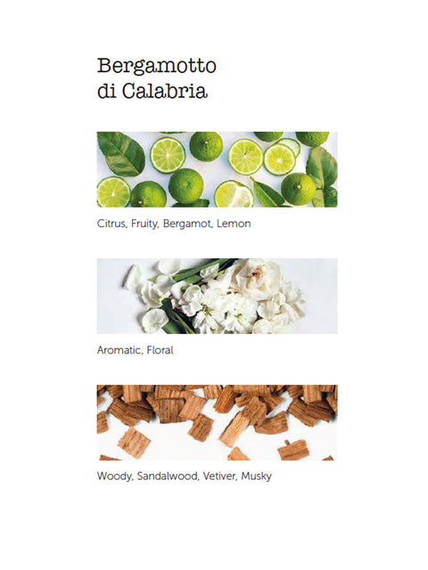 Premium Body & Hand Lotion - Bergamotto di Calabria - House of Roya