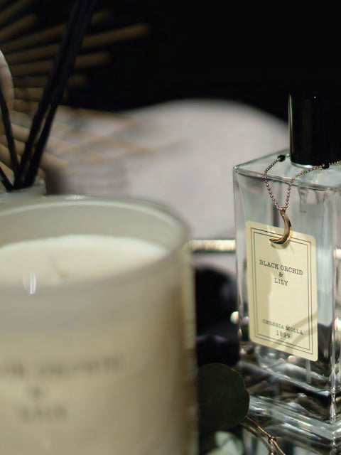 Premium Candle 230gr Black Orchid & Lily - House of Roya