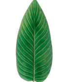 Riviera Strelizia Tomate Leaf Dish 40cm - House of Roya