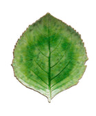 Riviera Tomate Hydrangea Leaf 22cm - House of Roya