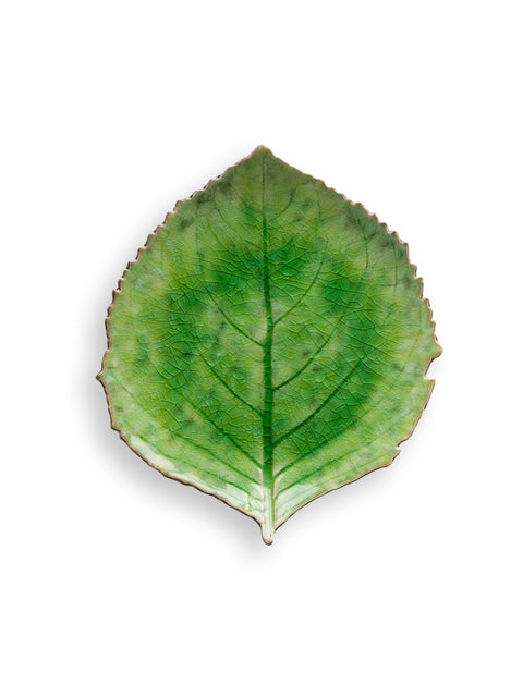 Riviera Tomate Hydrangea Leaf 22cm - House of Roya