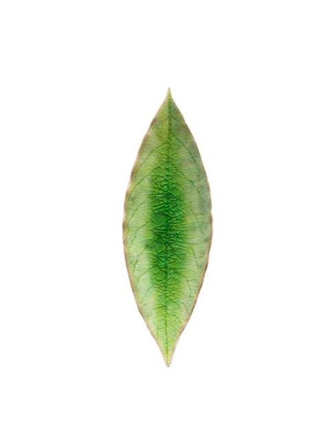 Riviera Tomate Laurel Leaf 18cm - House of Roya