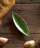 Riviera Tomate Laurel Leaf 18cm - House of Roya
