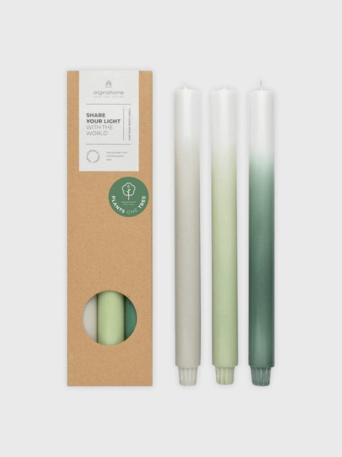 Gradient Candles Set of 3 - Long Meadow - House of Roya