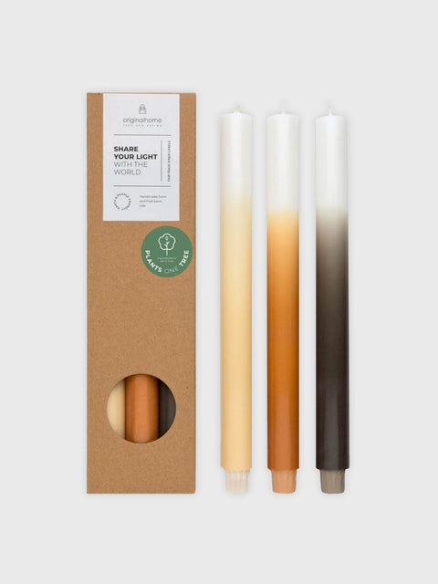 Gradient Candles Set of 3 - Pine Apple - House of Roya
