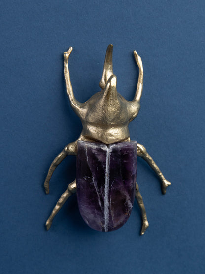 Rhinoceros Amethyst Beetle