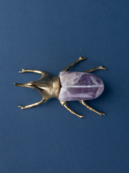 Rhinoceros Amethyst Beetle